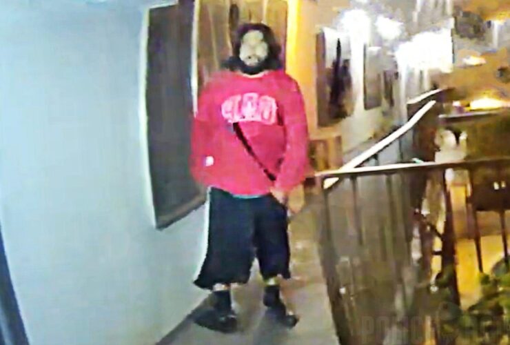 LAPD Officer Shoots Burglary Suspect Armed With Metal Pole