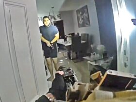 Armed Brother Of Suspect Shot as Deputies Serve Child Exploitation Warrant