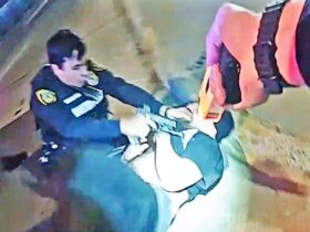 Houston Police Officer Shoots Wanted Man After Struggle