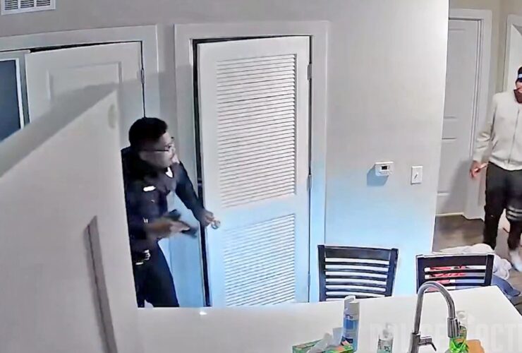 Police Tase Robbery Suspect After Being Let in by Pimp Suspect