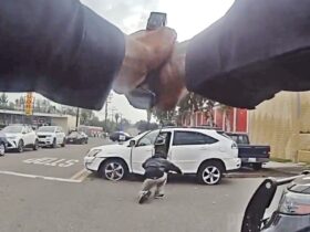 San Diego Officer Opens Fire After Suspect Reaches for Gun Like Object San Diego Officer Opens Fire After Suspect Reaches for Gun Like Object