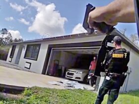 Pasco Deputy Shot During Gunfight With Armed Suspect