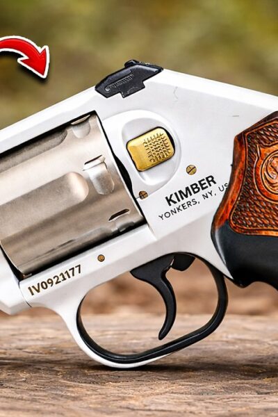 10 Legendary .357 Magnum Revolvers Ranked!