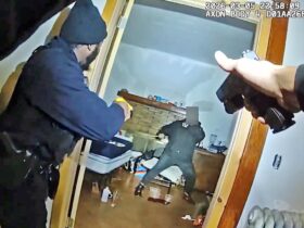 Buffalo Police Shoot Man Who Charged At Them With Two Knives