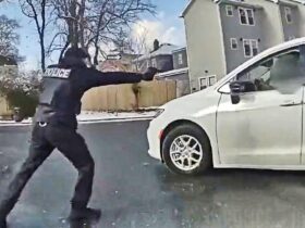 Newark Officer Shoots Driver Trying to Flee Detention Scene