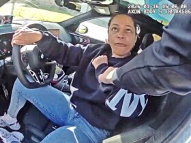 Officer Drags Woman From Car After She Refuses Ticket