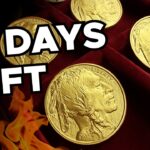 Why You Might Only Have 10 Days to Buy Gold & Silver