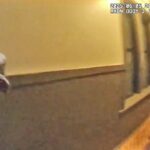 Bodycam Shows Chicago Officer Shot by Her Own Partner