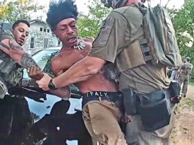 Police K9 Bites Suspect Then He Bites Back