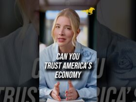 Is the US Economy a Lie?