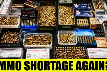 8 Rounds Every American Should Stockpile Before The 2026 Ammo Crunch!