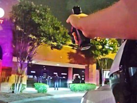 Suspect Calls Police On Himself Before Knife Attack At Texas Bar