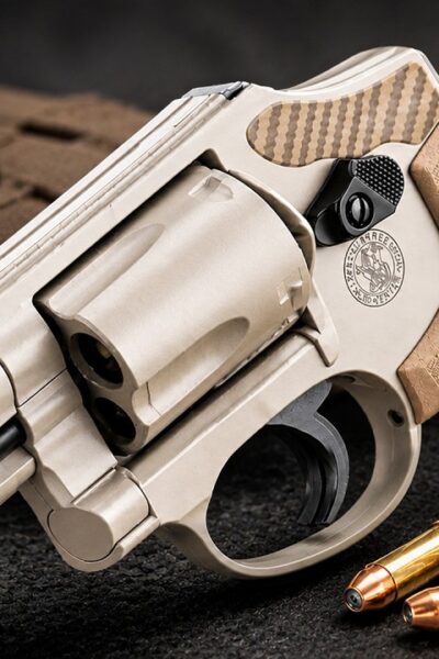 10 Best Value Guns For Seniors To Buy Right Now (2026) – This 0 Revolver Outshoots 00 Guns!