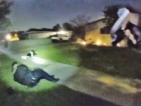 Pasadena Officer Shot in Leg During Intense Shootout With Gunman
