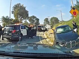 Suspect Shot After Slamming BMW Into Police Cruisers And Aiming Gun