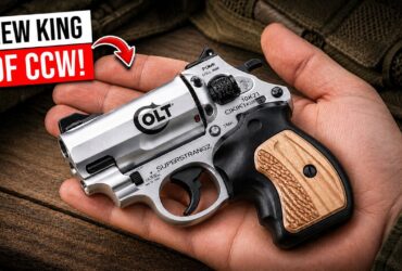 7 Best NEW Revolvers for Concealed Carry in 2026!