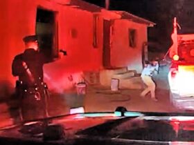 Traffic Stop Escalates Into Shootout With Armed Suspect