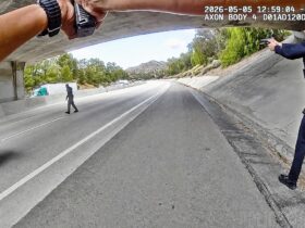 Freeway Carjacking Attempt Ends In Shooting