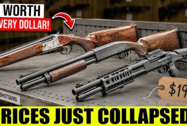 Prices Are Crashing: 10 Shotguns That Are Shockingly Cheap Right Now (July 2026)!