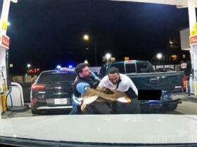 Officer Shoots Suspect After Struggle Over Gun Officer Shoots Suspect After Struggle Over Gun