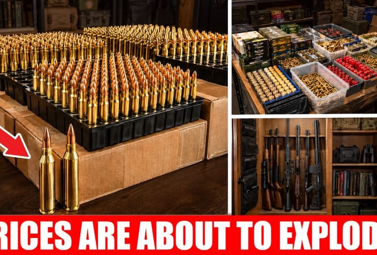 These 7 Calibers Are Still DIRT CHEAP in 2026 — But Prices Are Catching Up!