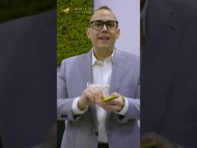 Why hold gold and silver in an IRA