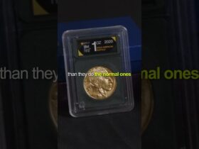 Proof vs Non Proof Gold Buffalo: What Is the Difference?