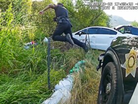 Deputy Pulls Off PIT Maneuver To Stop Fleeing Robbery Suspect