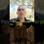 The #1 Shift in How People Buy Gold Right Now!