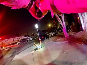 Deputies Shoot Armed Man After He Reaches for Gun