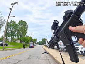 Man Loads Dealership Truck With Guns Then Fires at Cops Man Loads Dealership Truck With Guns Then Fires at Cops